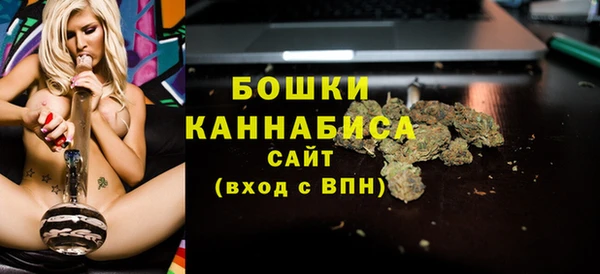 spice Карпинск