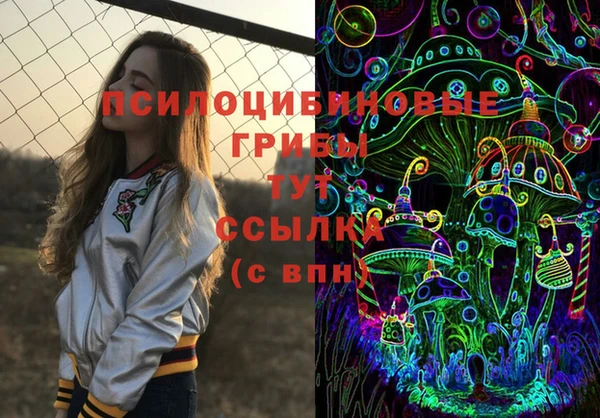 spice Карпинск
