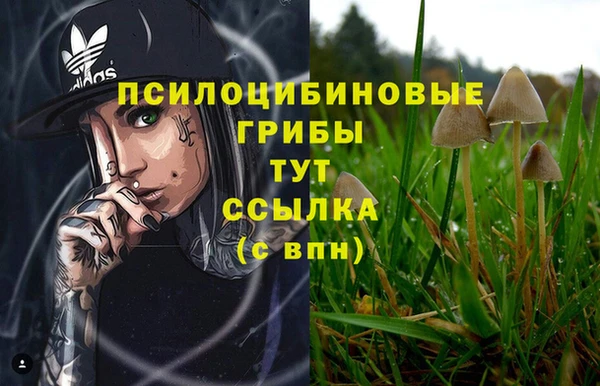 a pvp Карталы
