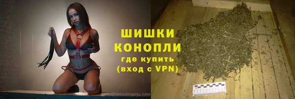 spice Карпинск