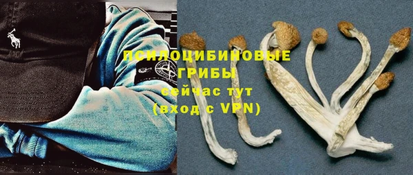 мескалин Касимов