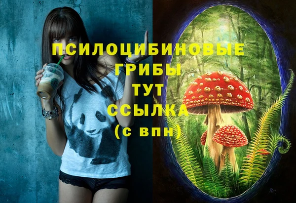 spice Карпинск