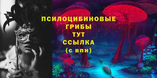 мескалин Касимов