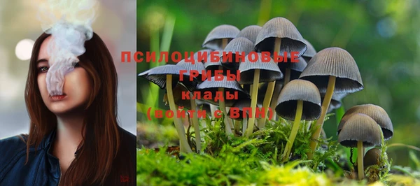 a pvp Карталы