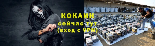 spice Карпинск